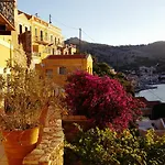 Pitini