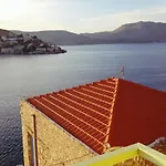 Pitini